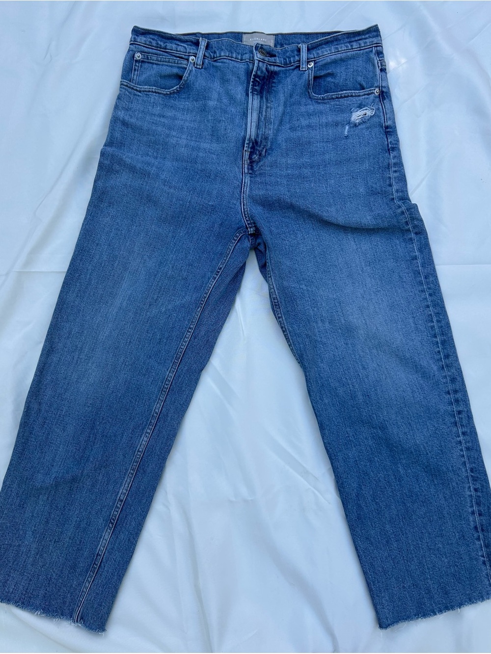 Everlane Way High Jean Women’s High Rise Straight Blue Denim Distressed 32 Raw